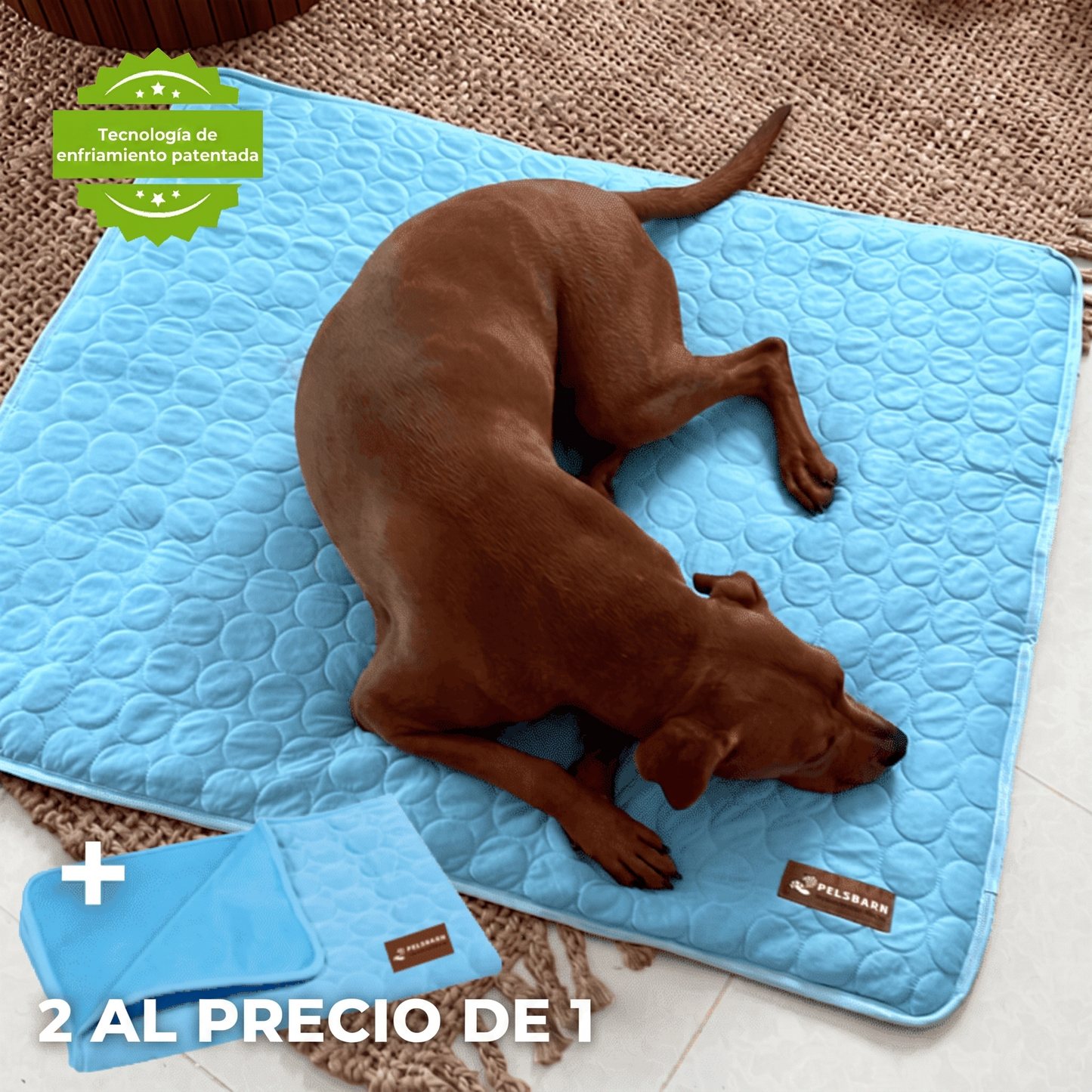 Esterilla Refrescante para Perros