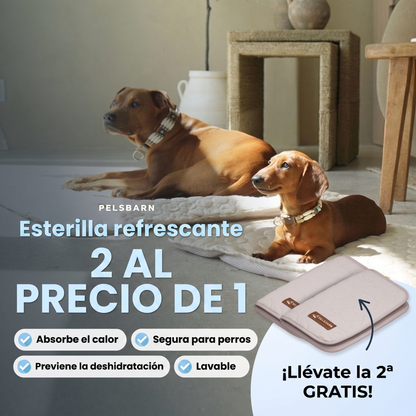 Esterilla Refrescante para Perros