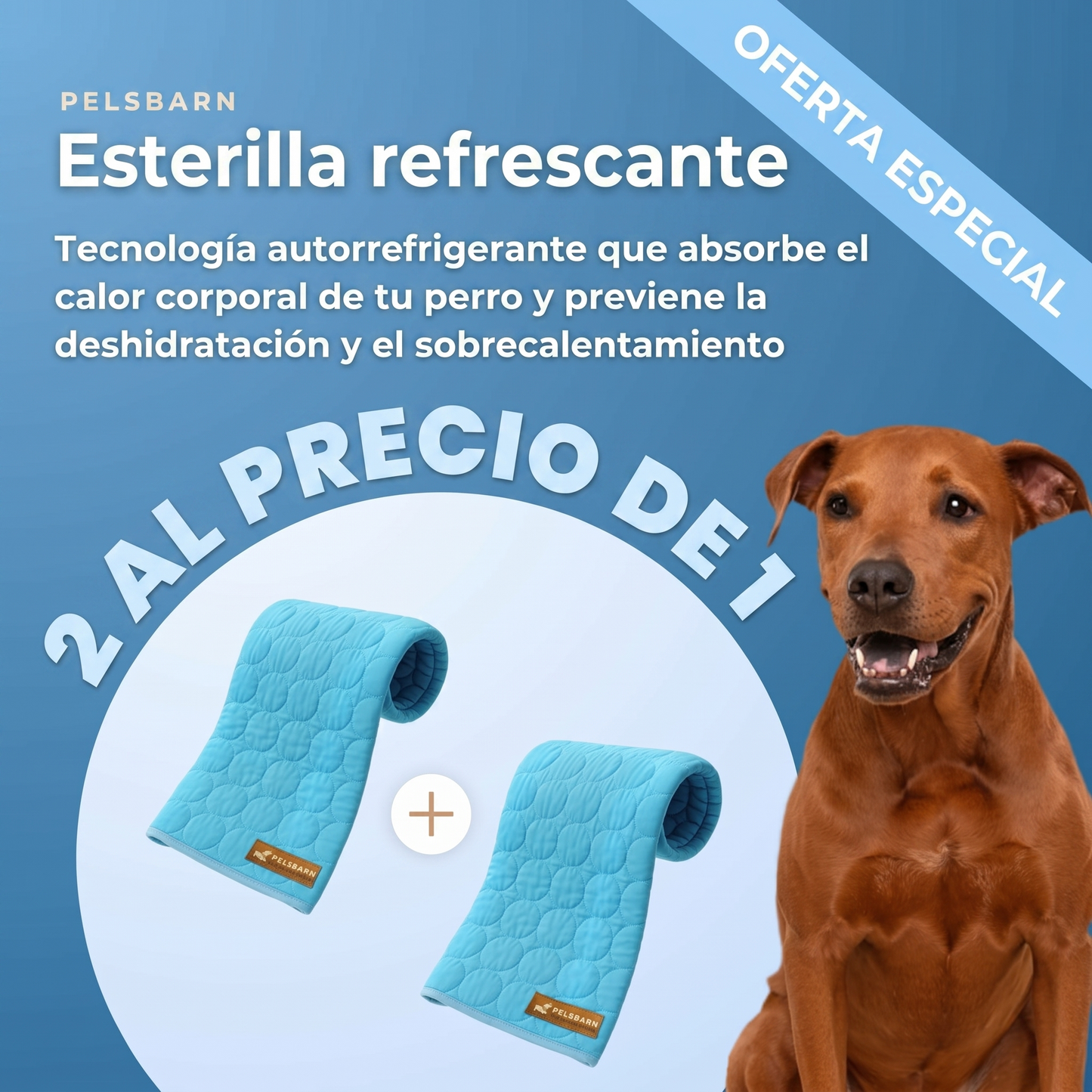 Esterilla Refrescante para Perros